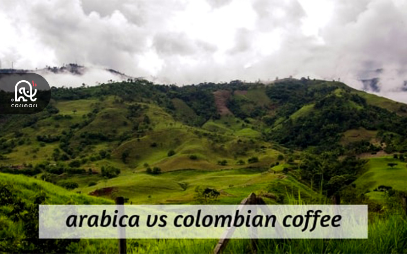 قهوه عربیکا و کلمبیایی