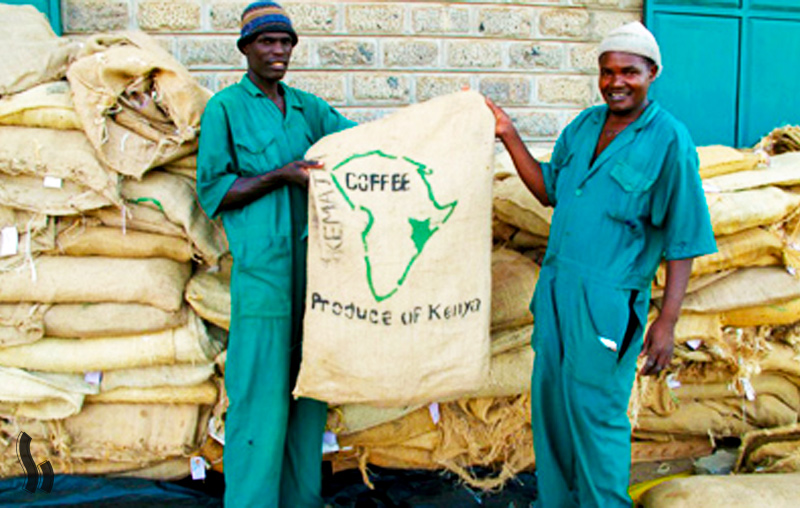 تاریخچه قهوه کنیا