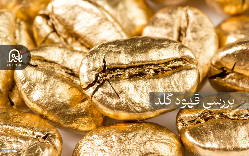 قهوه گلد چیست